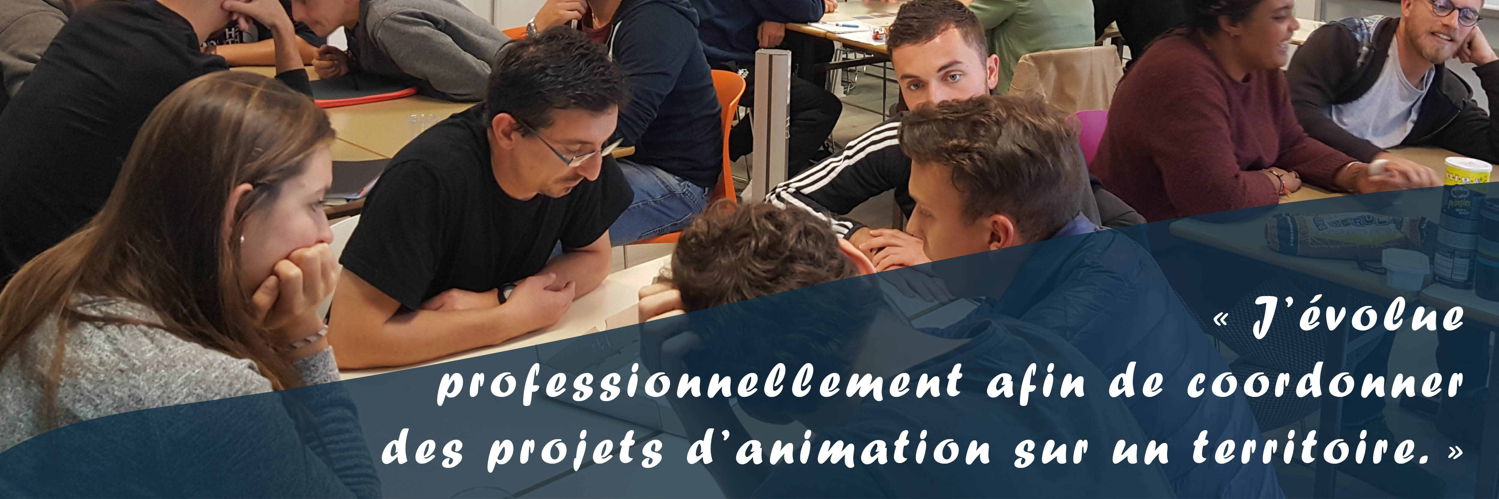 dejeps coordination projets territoires reseau animation fal44 ligue de lenseignement