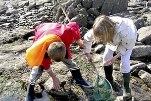 de la pêche à lassiette