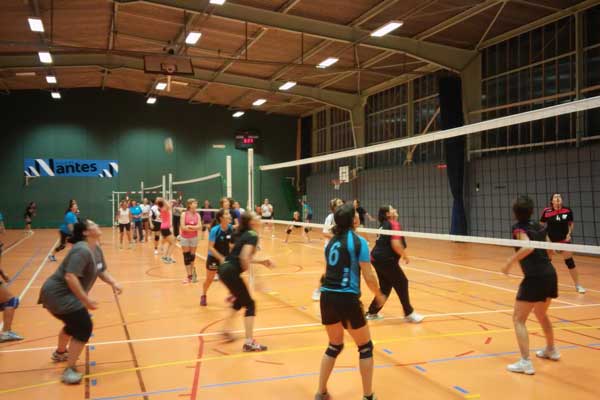 volley