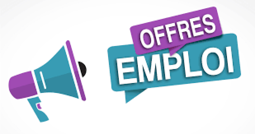 OFFRES D'EMPLOI
